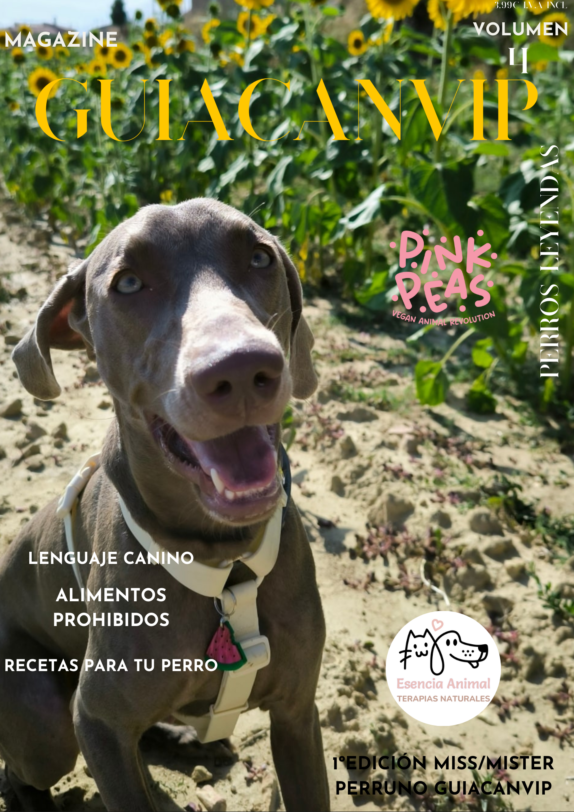 REVISTA GUIACANVIP Enero/2025